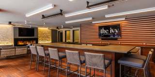 The Ivy Gallery 45