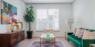 Auxo at Memorial Gallery 8