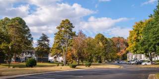 Adar at Golden Gate Gallery 10