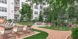 The Waypointe Apartments Gallery 16