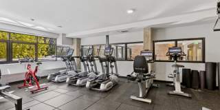 Smith & Burns Gallery 16