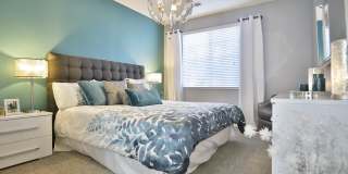 Shadow Ridge Apartments Gallery 8