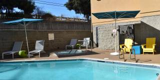 Encino Palms Gallery 4