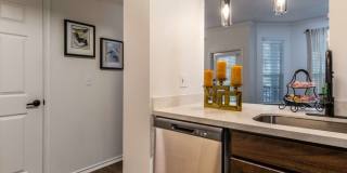 The Pines at Spring Rain Gallery 8