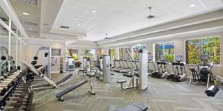 11869 Lakewood Preserve Place Gallery 34