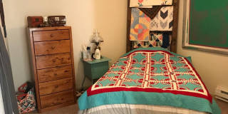 21 Orange Gallery 56