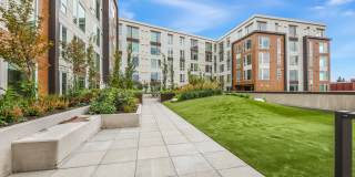 Ellis at Bel-Red Gallery 16