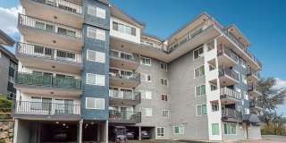 Arrive Magnolia Gallery 71