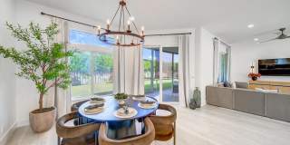 1853 Shower Tree Way Gallery 15