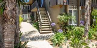 Elan Cape Palms Gallery 3