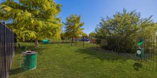 Arlington Hills Gallery 5