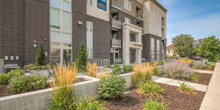 Moda Newhouse Moda Newhouse Gallery 19