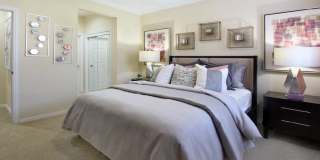 TurtleCreek Apartments Gallery 19