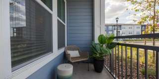 Madison Palms Gallery 10