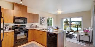 Redmond Square Gallery 42