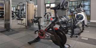 The Wexley at 100 Gallery 25