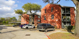 Timbers of Cranbrook Gallery 4