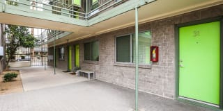 Carol Mary Gallery 19