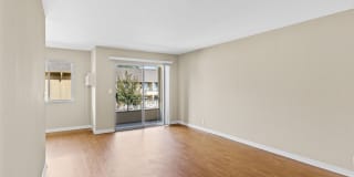 Maplewood Gallery 26