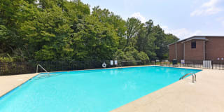 Noah's Landing Gallery 22