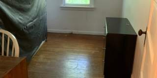 NE Gallery 10