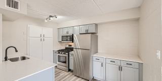 Rise Biltmore Gallery 11