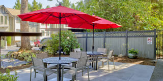 Forest Hill Village Gallery 9