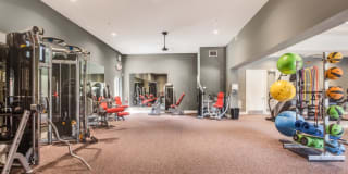 TGM Palm Aire Gallery 23