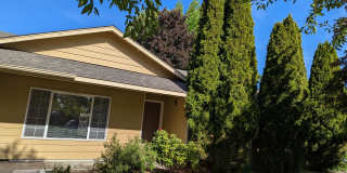 61862 Avonlea Circle - 1 Gallery 28