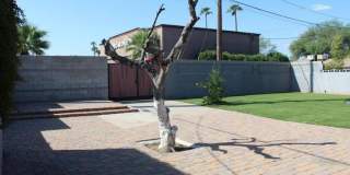 757 E Loyola Drive Gallery 12