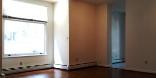 517 Shady Ave Gallery 5