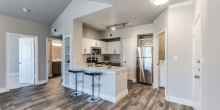 Asheville at Spring Branch Gallery 8