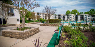 Ashley Apartments Gallery 11