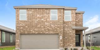 4052 Shaw Tree Gallery 1