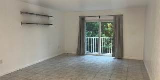 Beautiful Condo with Ocean Views Gallery 8