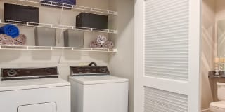 Woodland Meadow Gallery 32