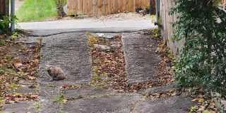 2330 14TH Place SE Gallery 19