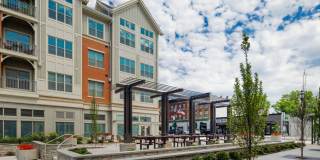 Avalon Harrison Gallery 23