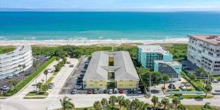 Dolphin Beach Gallery 1