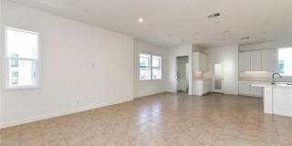 258 Sash 258 Sash Gallery 4
