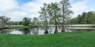 Cascades at Kissimmee Gallery 9