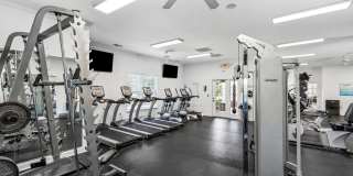 Bellingham Park Bellingham Park Gallery 13