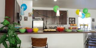 Sundance Village Gallery 17