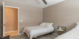 27350 Melanita Gallery 25