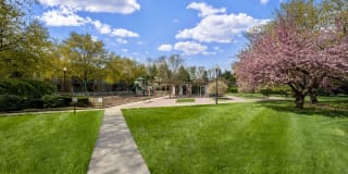 Jefferson Chase Gallery 15