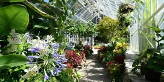 The Orion Apartment Homes Gallery 41