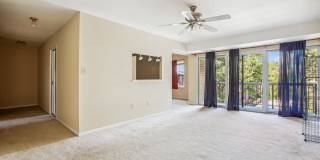 9712 Kingsbridge Dr Apt 303 Gallery 4