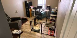 5 Bedroom home in Cul-de-sac Gallery 15