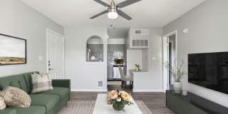 Palomar West Gallery 4