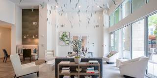 Trails at Hunter's Lake Gallery 10